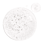 Ingredient