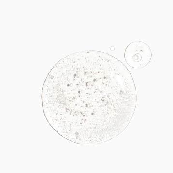 Ingredient