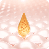 Ingredient