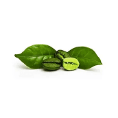 Ingredient