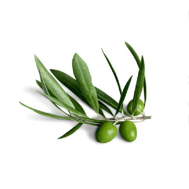 Ingredient