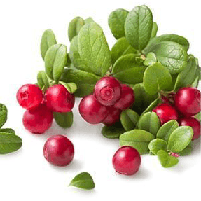 Ingredient