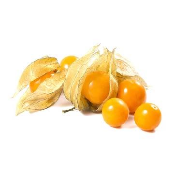 Ingredient